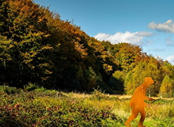 Les Sources de l'Yonne - GLUX-EN-GLENNE