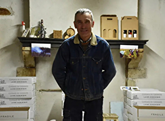 Domaine Lainé Dominique - SAINT-LOUP-DES-BOIS