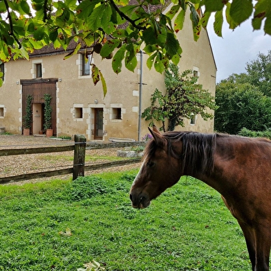 Terre de Fleur