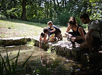A l'assaut du Moussu ! Visite de la forêt du Beuvray réservée aux enfants.  - SAINT-LEGER-SOUS-BEUVRAY
