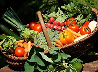 Festival des saveurs - FOURCHAMBAULT