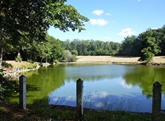 Etang de la Combe - POIL