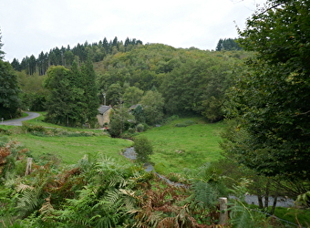 Le Terrier de Montvernot  - LAROCHEMILLAY