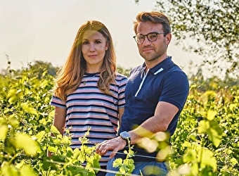 Domaine Les Ormousseaux - SAINT-PERE