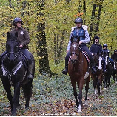 Centre équestre - Eperon de Lantilly