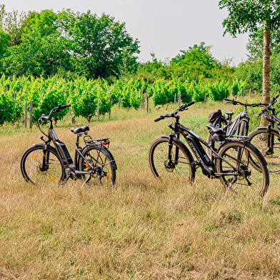 Location de vélos à assistance électrique à Cosne-Cours-sur-Loire