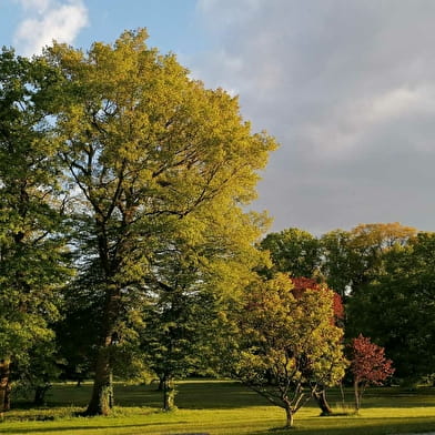 Espace de Réunion - Salles du château - Château de la Vernée