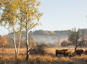 Sentier des prairies de Montour  - BRASSY