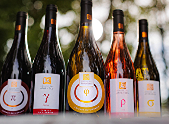 Cosne Wine Tour - COSNE-COURS-SUR-LOIRE