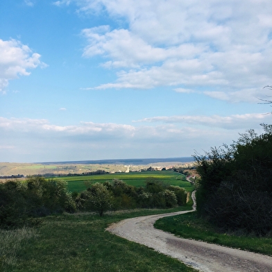 Chemin des écrivains : Colas Breugnon 