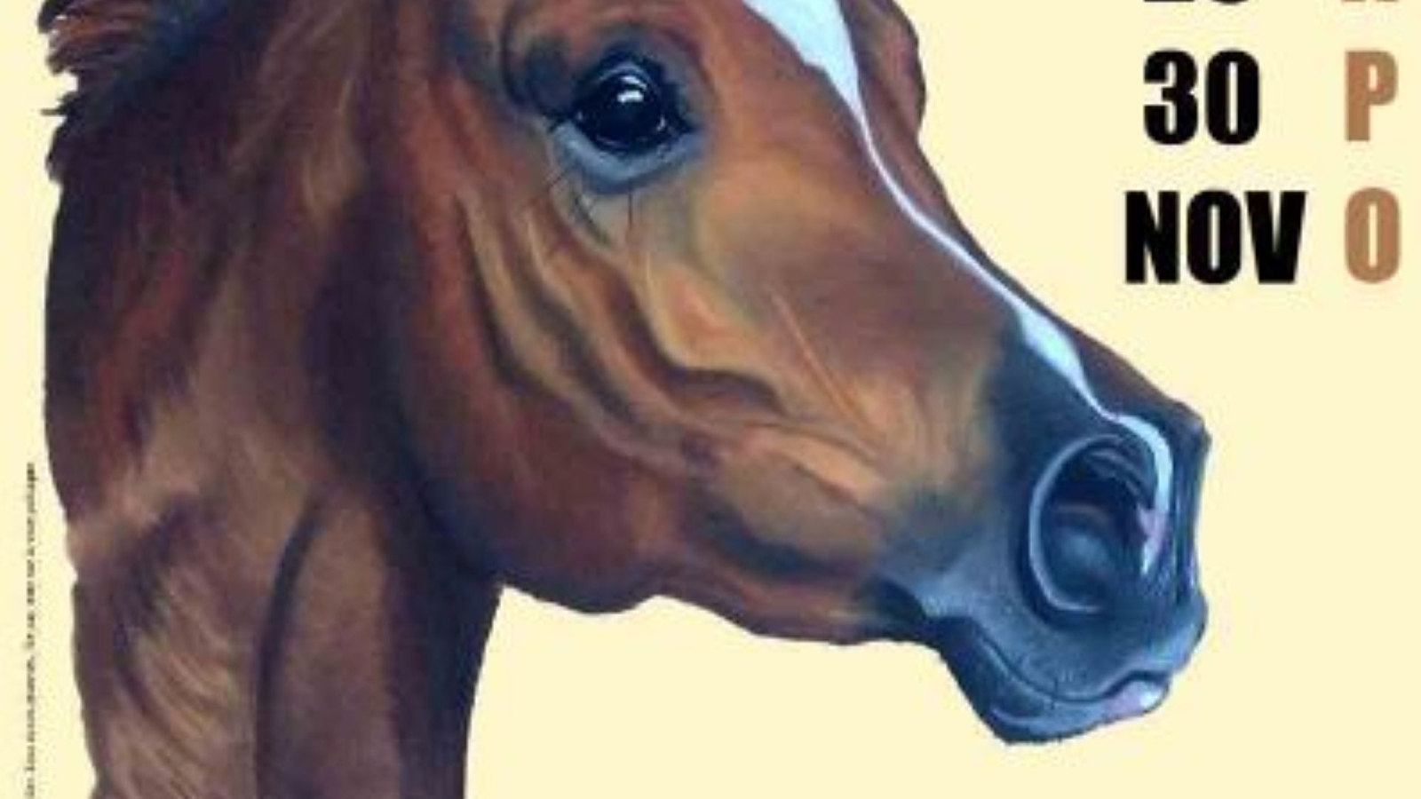 'L'Effluve Des Prés' par Claire Cellier.

Exposition de tableaux équestres et animaliers