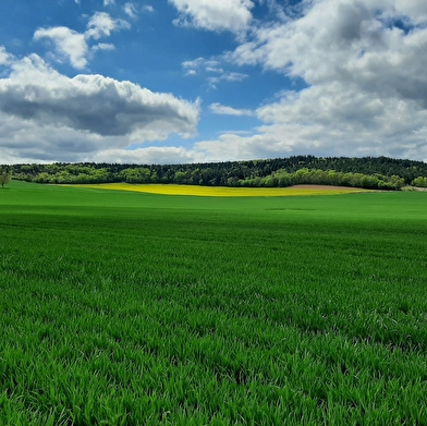Circuit du Val Sainte-Eugénie - Varzy-Courcelles