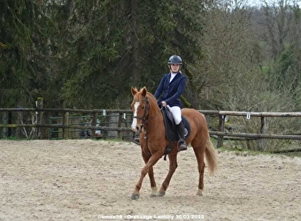 Centre équestre - Eperon de Lantilly - CERVON