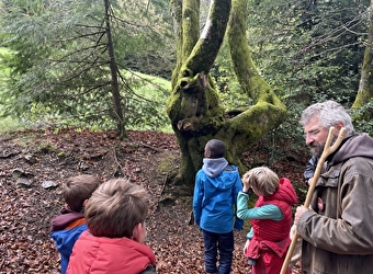 A l'assaut du Moussu ! Visite de la forêt du Beuvray réservée aux enfants.  - SAINT-LEGER-SOUS-BEUVRAY