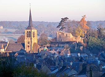 Vieux Château de Moulins-Engilbert - MOULINS-ENGILBERT