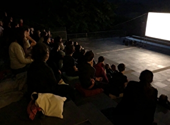 La nuit du film d'archéologie à Bibracte - SAINT-LEGER-SOUS-BEUVRAY