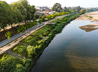 Des bords de Loire au sous-bois, à Cosne-Cours-sur-Loire - COSNE-COURS-SUR-LOIRE