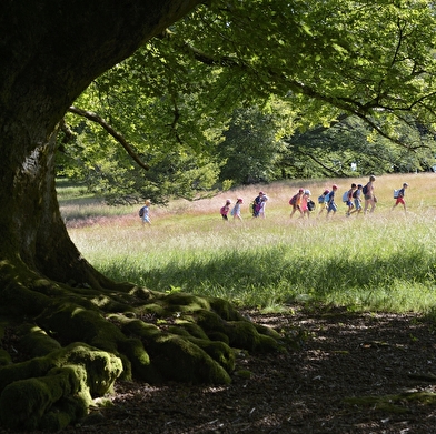 Parc naturel régional du Morvan