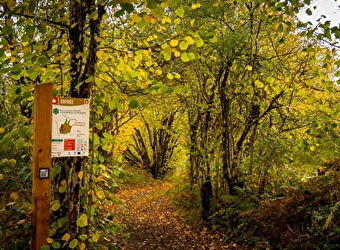 Tourbière de Champgazon - MONTSAUCHE-LES-SETTONS