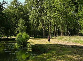 Futaie Notre-Dame - GUERIGNY