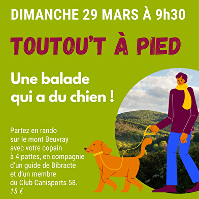 Toutou't'à pied : une balade qui a du chien à Bibracte !
