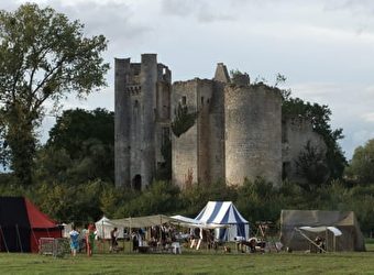 Château de Passy-les-Tours - VARENNES-LES-NARCY