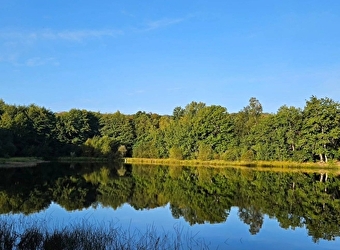 Etang du Merle - CRUX-LA-VILLE