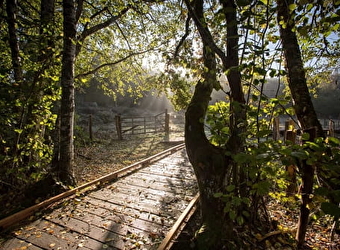 Domaine départemental des Grands-près - SAINT-AGNAN