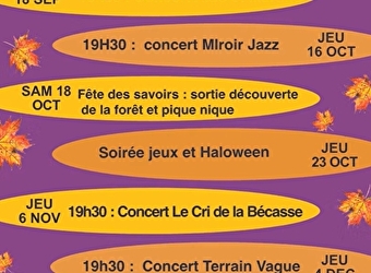 SAXI ZINC - SAXI-BOURDON