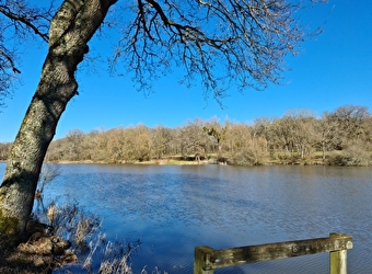 Etang de la Perchette - VITRY-LACHE
