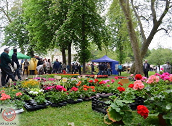 Jardipougues : Fête des plantes, du terroir et du jardin - POUGUES-LES-EAUX