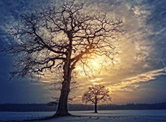 Veillée symbolique : Le solstice d'hiver Yule et les fêtes de Noël  - MARIGNY-L'EGLISE