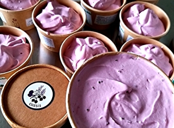 La Ferme des Trefles - FRASNAY-REUGNY