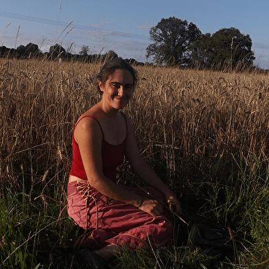 Du grain au pain, du champ au fournil !