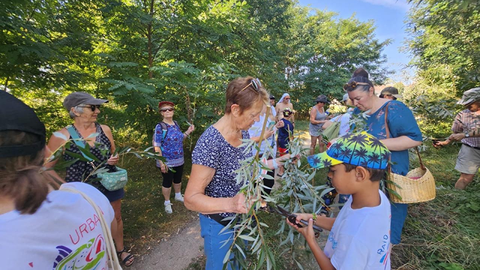 Tressage vagabond 'Vieille Loire'