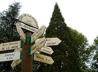 Rond de la réserve - RAVEAU