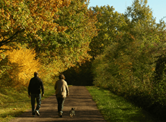 Forêt des Bertranges - RAVEAU