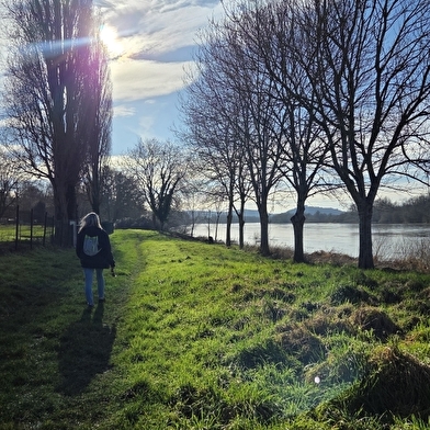 Des bords de Loire au sous-bois, à Cosne-Cours-sur-Loire