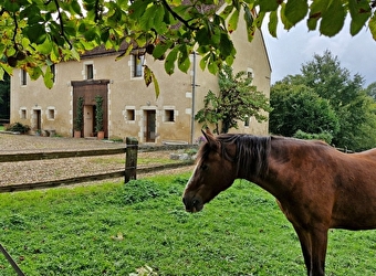 Terre de Fleur - BITRY