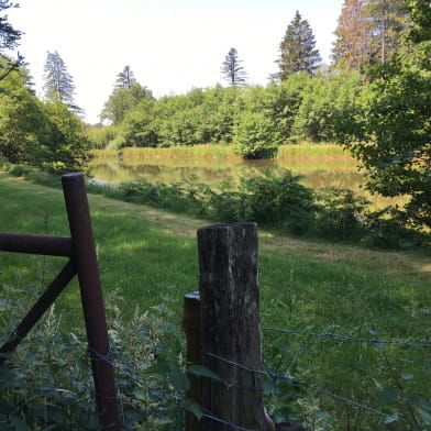 Meublé Le Petit Foulon