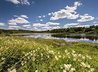 Sentier de découverte de l'étang Taureau  - SAINT-BRISSON