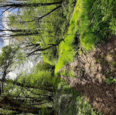 Circuit de la source Champmorin 