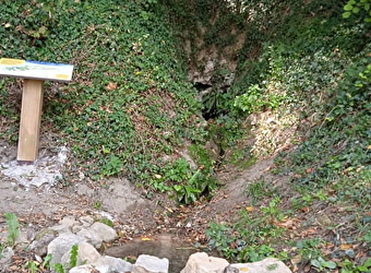 Source des Vreilles - CERCY-LA-TOUR